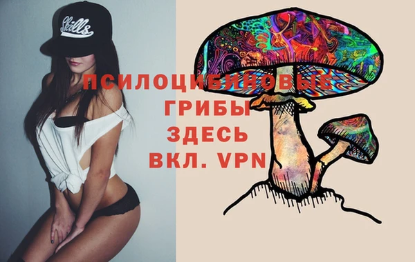 a pvp Богданович
