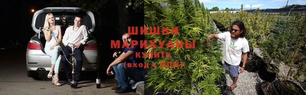 прущая мука Богородицк